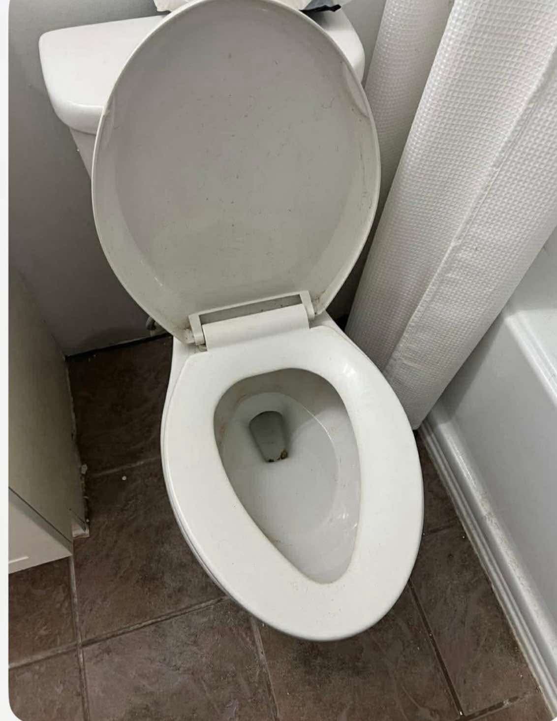 Thorough toilet cleaning during deep clean service
